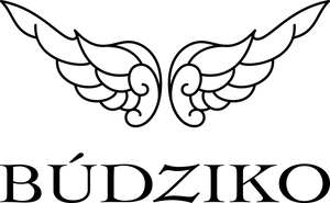 BÚDZIKO